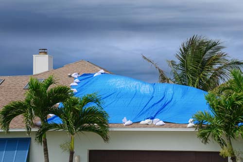 roof with blue tarp