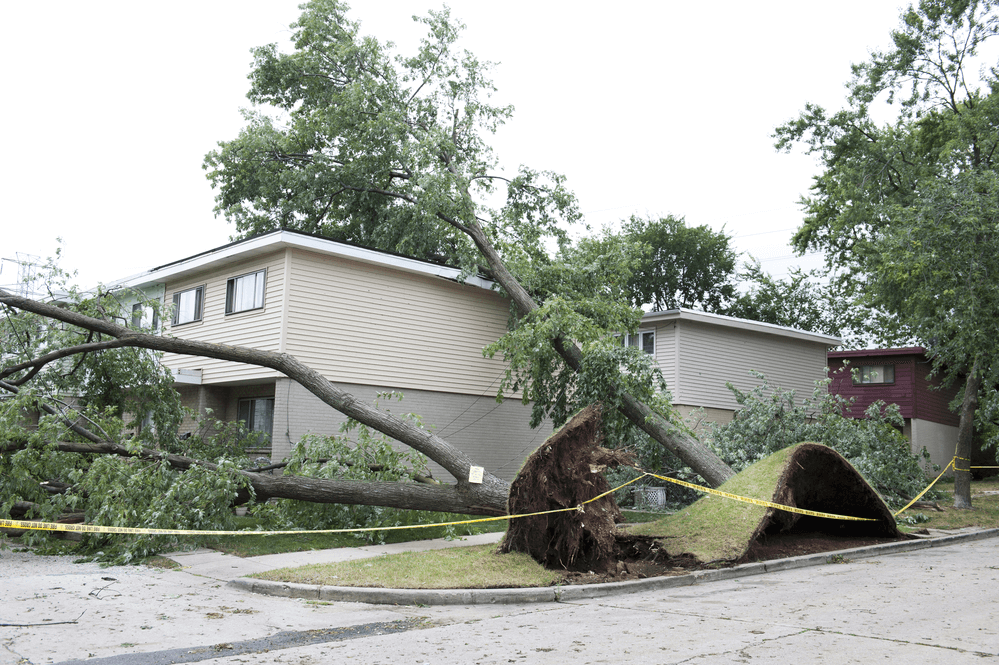 Roof Storm Damage
