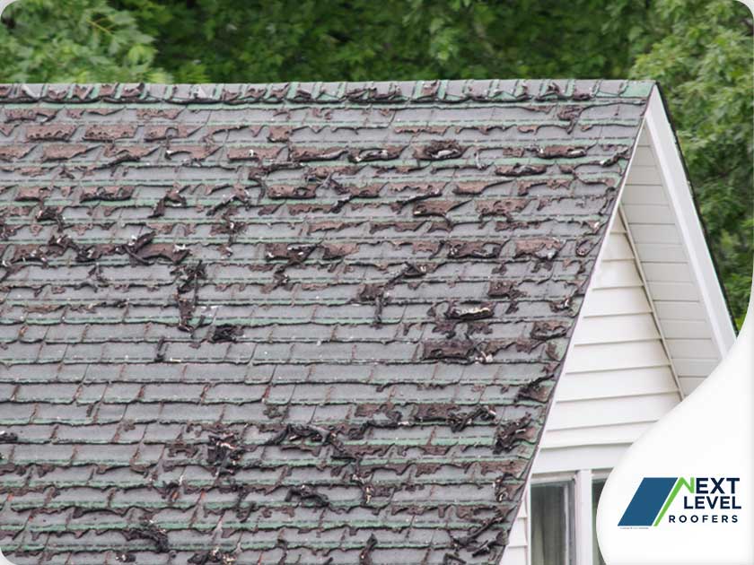 Roof Deterioration Damage VS Normal Wear and Tear Next Level Roofers